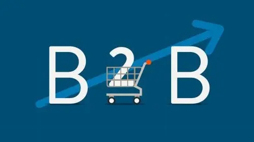 今年最火的B2B品牌出海的价值是什么？
